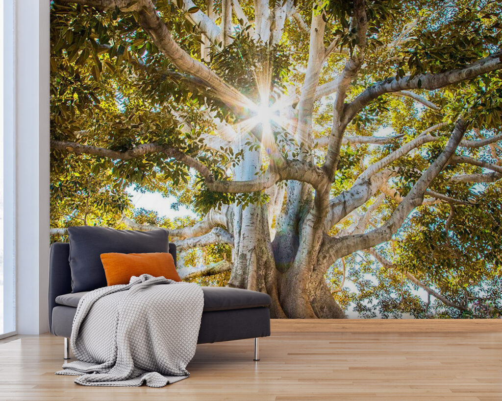 u01271pig25 1024x819 - Árvore majestosa sob uma luz solar radiante - tegory