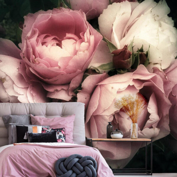 Grupo de rosas cor-de-rosa e brancas Grupo de rosas cor-de-rosa e brancas