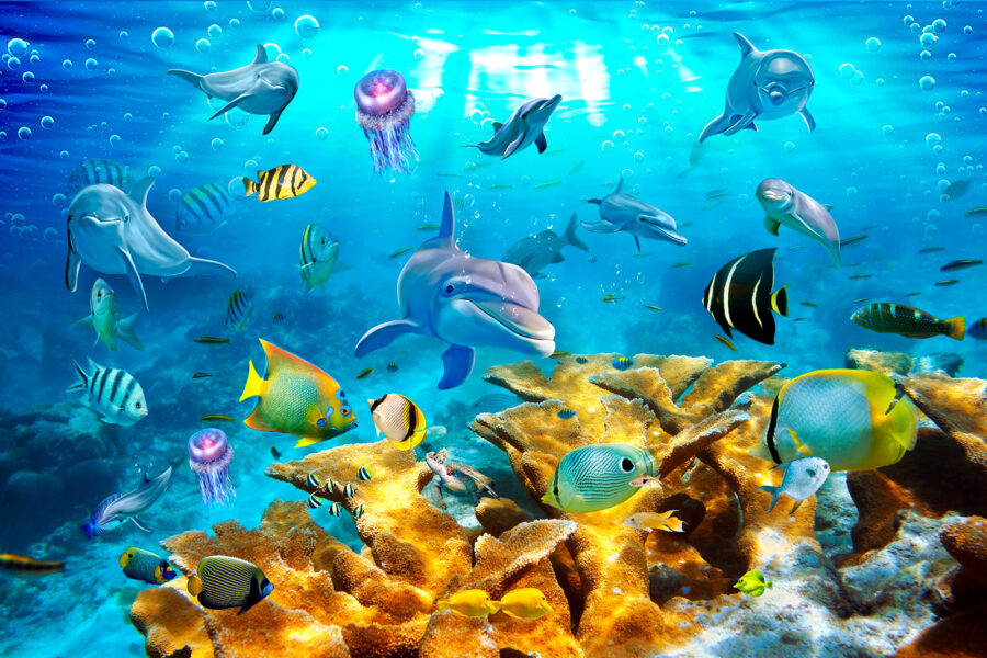 Papel de parede Grupo de peixes a nadar na água - Image 2