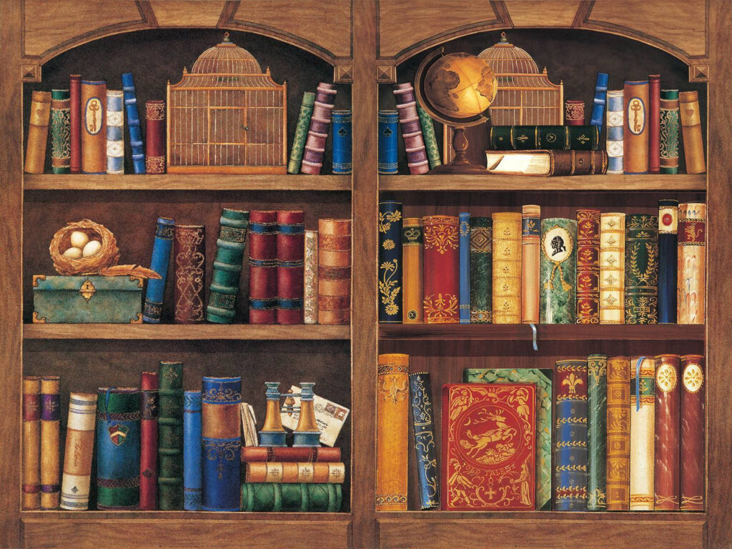 Estante cheia de livros Estante cheia de livros