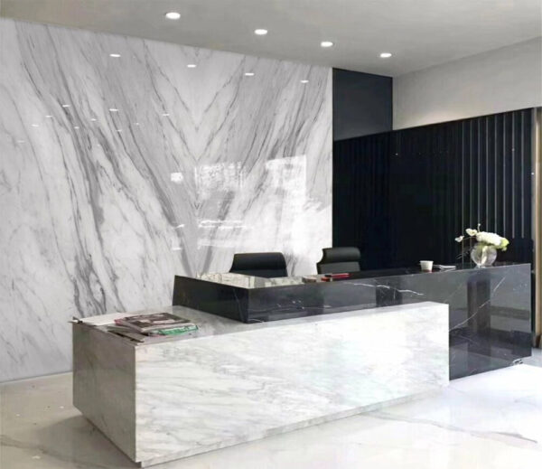 Superfície de mármore branco com veios pretos Superfície de mármore branco com veios pretos