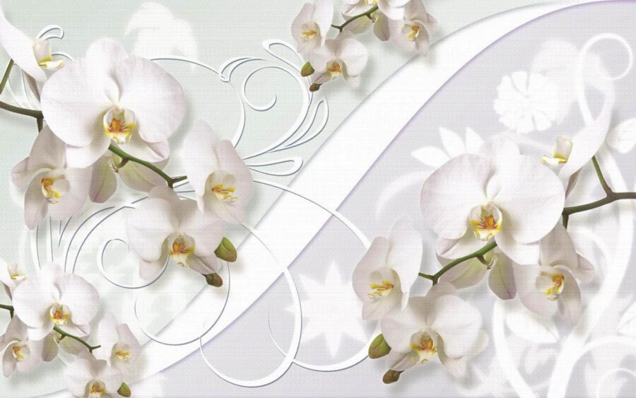 Orquídeas delicadas em tons suaves Orquídeas delicadas em tons suaves