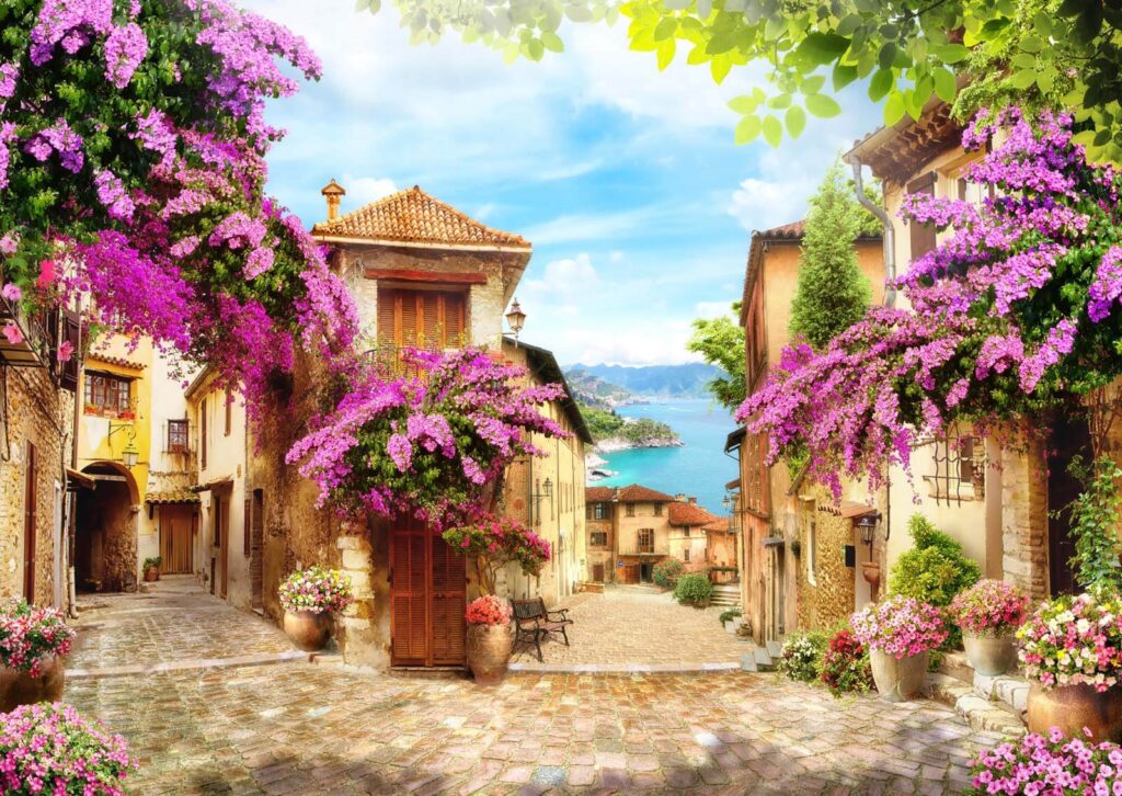 Rua com flores e árvores Rua com flores e árvores