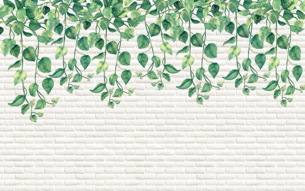 Parede de tijolo branco com folhas verdes Parede de tijolo branco com folhas verdes