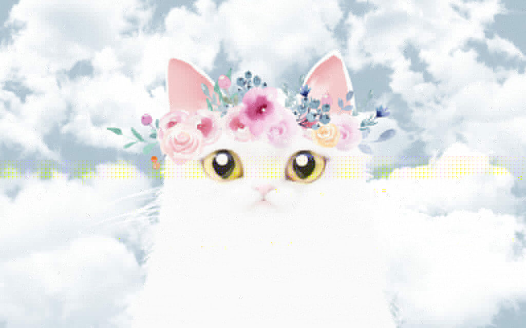 Gato com flores na cabeça Gato com flores na cabeça
