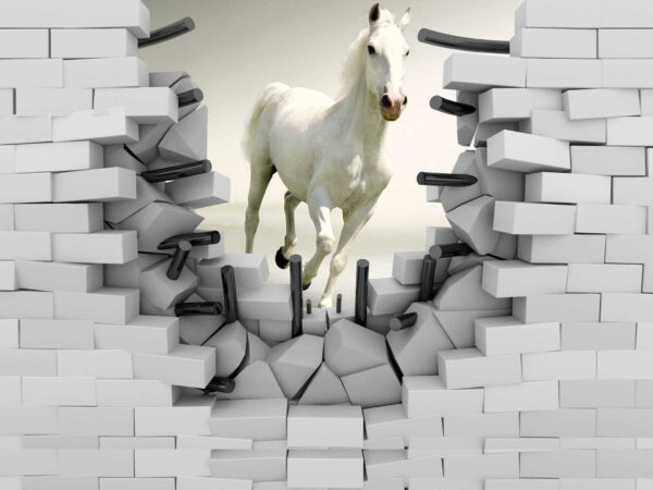 Cavalo a atravessar um muro Cavalo a atravessar um muro