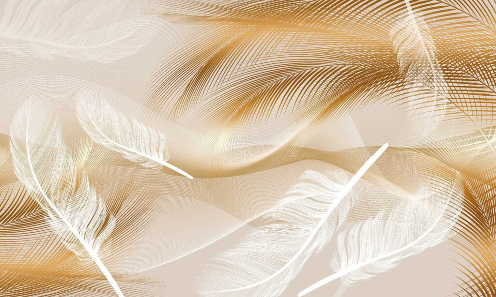 Penas elegantes em ondas suaves. Penas elegantes em ondas suaves.