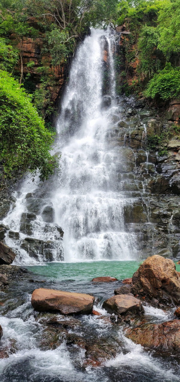 Cascata com rochas e árvores u15856p 600x1271 - Cascata com rochas e árvores