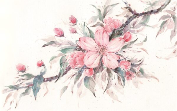Pintura de flores cor-de-rosa num ramo Pintura de flores cor-de-rosa num ramo