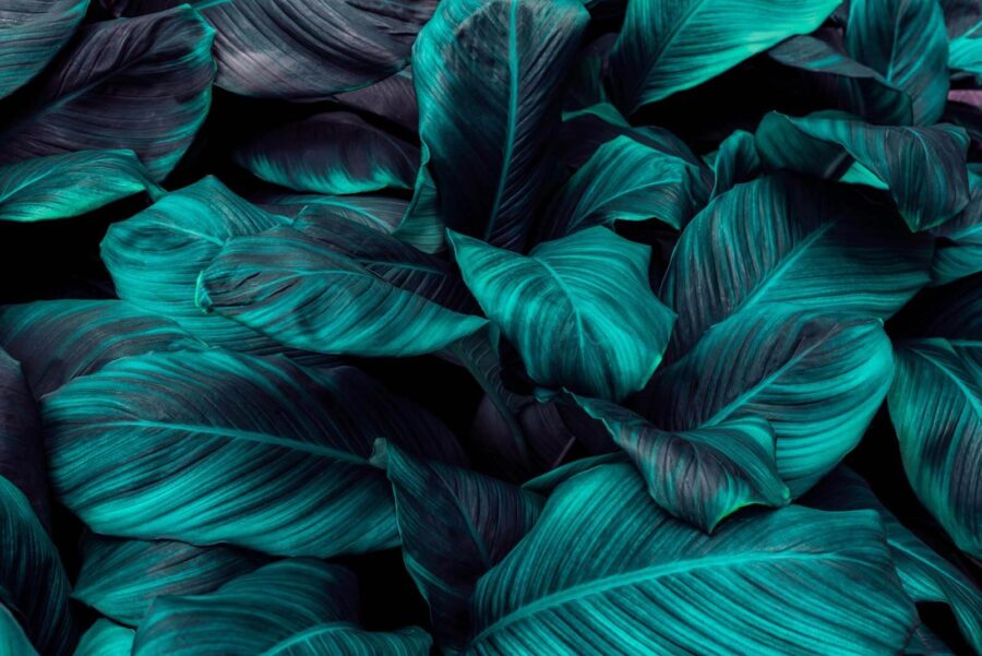 Folhagem tropical exuberante em tons vibrantes