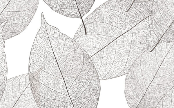 Padrões delicados de folhas em espaço branco Padrões delicados de folhas em espaço branco