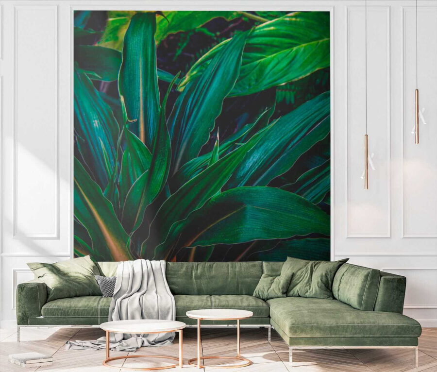 Folhas tropicais exuberantes num verde vibrante.