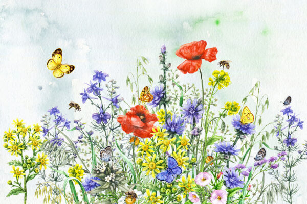 Pintura de flores e borboletas Pintura de flores e borboletas