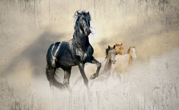 Cavalo preto a correr ao vento Cavalo preto a correr ao vento