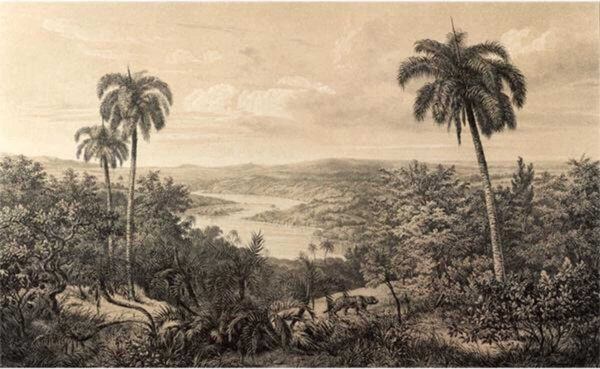 Paisagem com árvores e um rio Paisagem com árvores e um rio