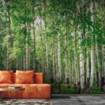 Papel de parede Grupo de árvores numa floresta