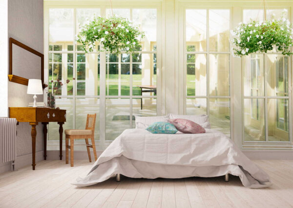 White patio door with glass windows and a potted plant from it White patio door with glass windows and a potted plant from it