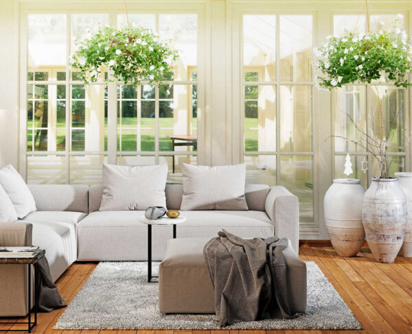 White patio door with glass windows and a potted plant from it White patio door with glass windows and a potted plant from it