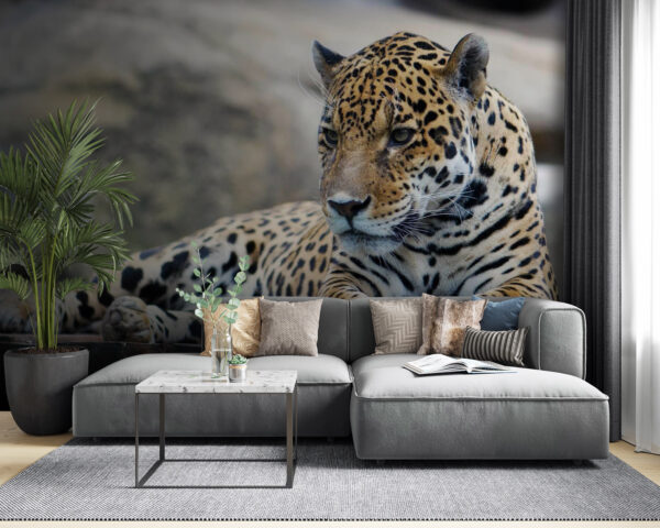 Leopardo deitado numa superfície de madeira Leopardo deitado numa superfície de madeira