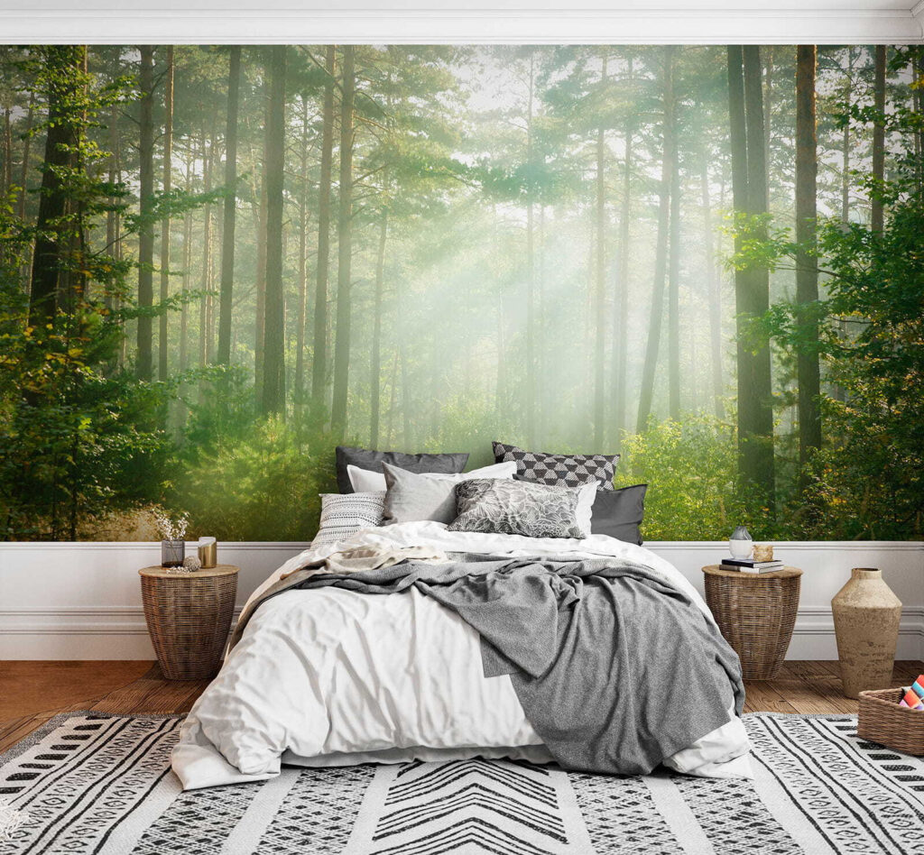 Path through a forest with trees and bushes Path through a forest with trees and bushes