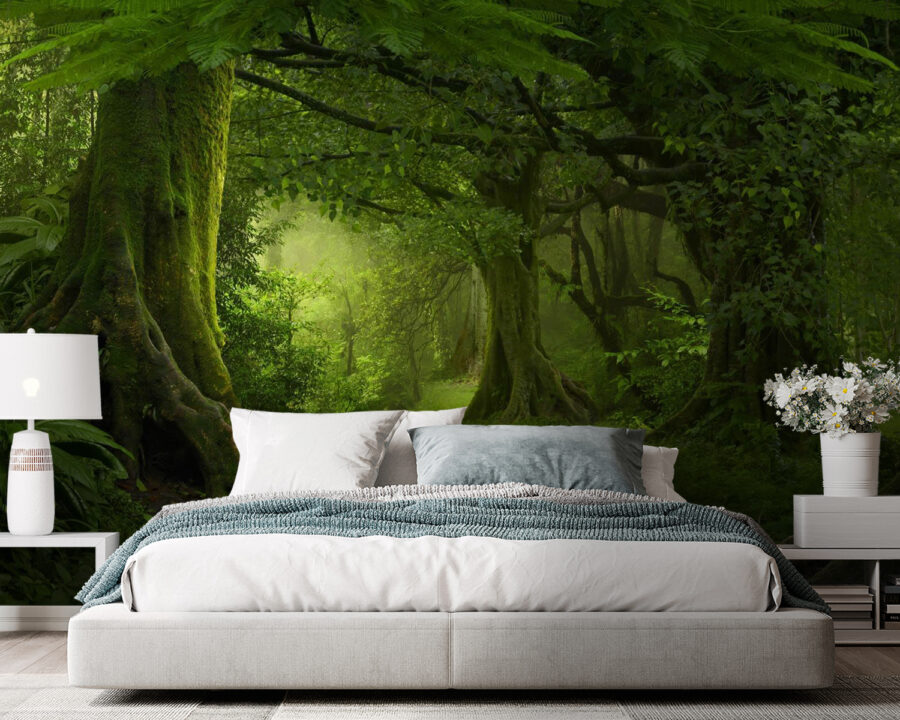 Floresta com árvores e plantas Floresta com árvores e plantas