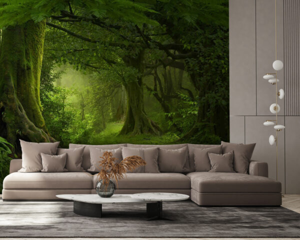 Floresta com árvores e plantas Floresta com árvores e plantas