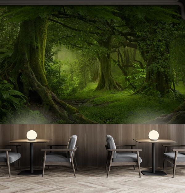 Floresta com árvores e plantas Floresta com árvores e plantas