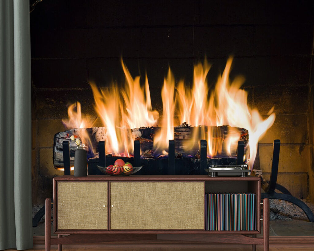 u56584pig20 1024x819 - Fogo numa lareira - tegory