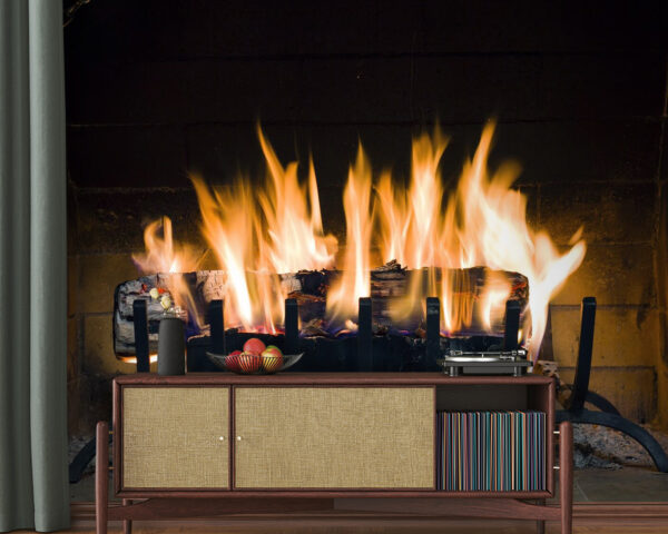 u56584pig20 600x480 - Fogo numa lareira - tegory