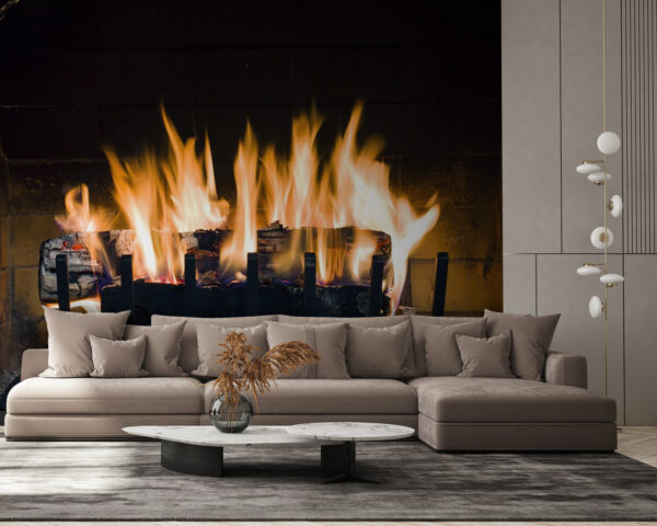 u56584pig58 600x480 - Fogo numa lareira - tegory