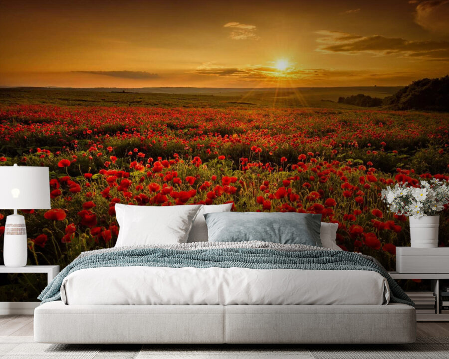 Campo de flores vermelhas