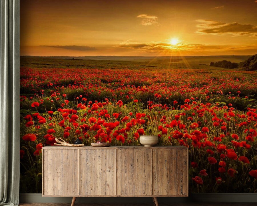 Campo de flores vermelhas