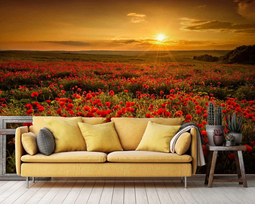 u56716pig36 1024x819 - Campo de flores vermelhas - tegory