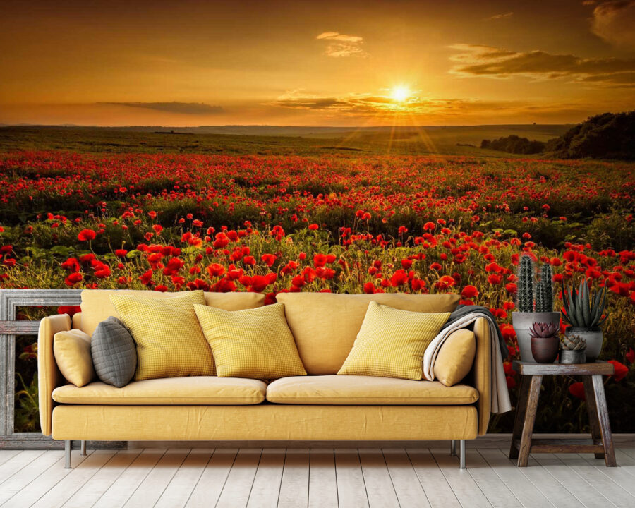 Campo de flores vermelhas