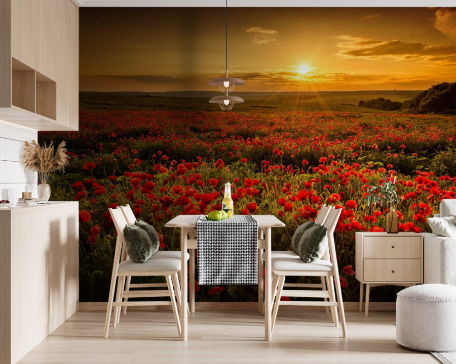 Campo de flores vermelhas