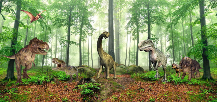 Grupo de dinossauros numa floresta Grupo de dinossauros numa floresta