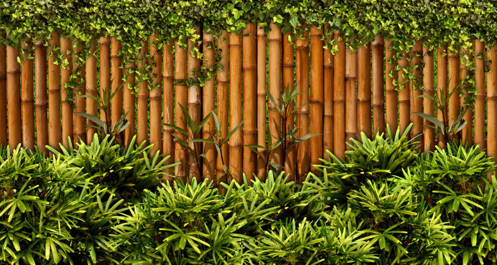 Vedação de bambu com plantas Vedação de bambu com plantas