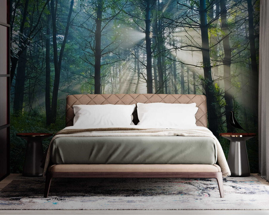 u70959pib1m 1024x819 - Sol a brilhar através das árvores numa floresta - tegory