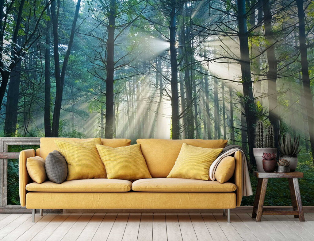 u70959pig1 1024x785 - Sol a brilhar através das árvores numa floresta - tegory