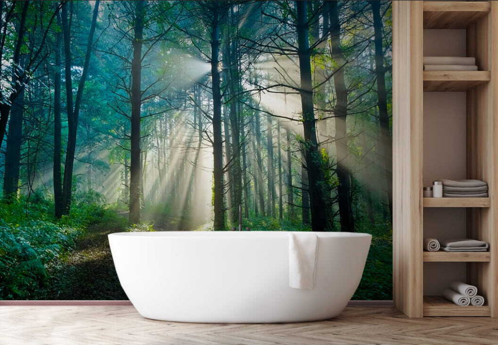 u70959pit1 1024x709 - Sol a brilhar através das árvores numa floresta - tegory