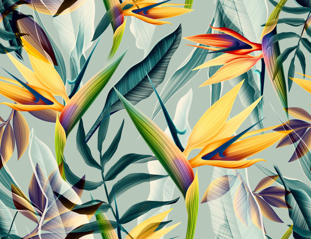 Flores e folhas coloridas Flores e folhas coloridas