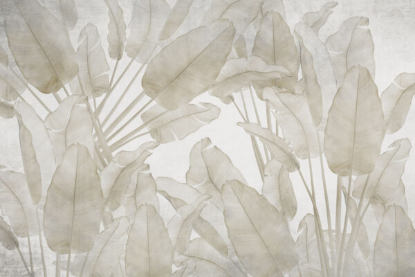Elegant foliage in soft tones Elegant foliage in soft tones