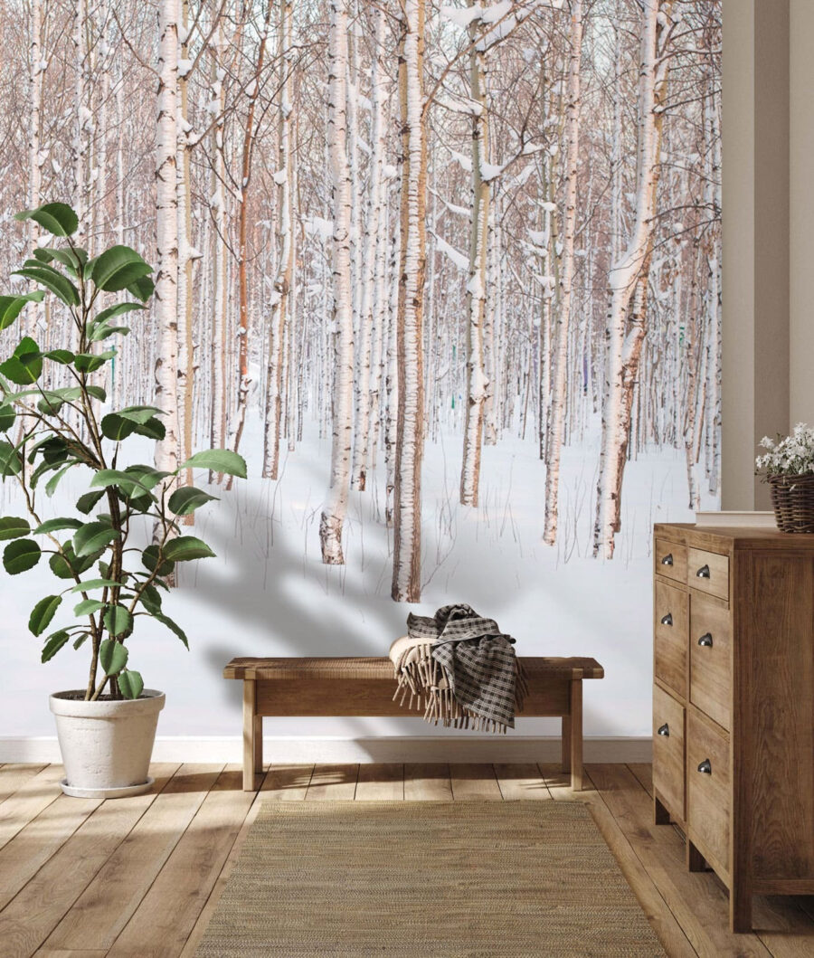 Grupo de árvores numa floresta com neve