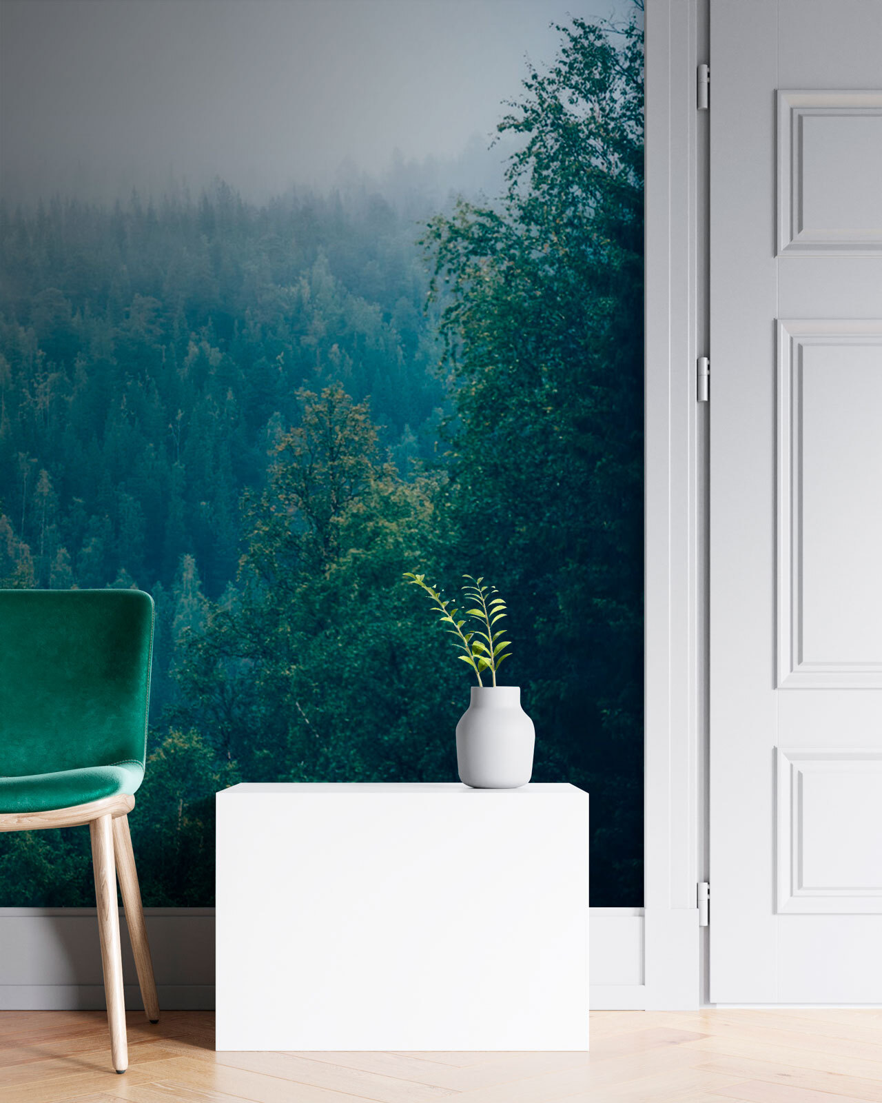 Floresta de árvores com nevoeiro u74236pih1m - Floresta de árvores com nevoeiro - tegory