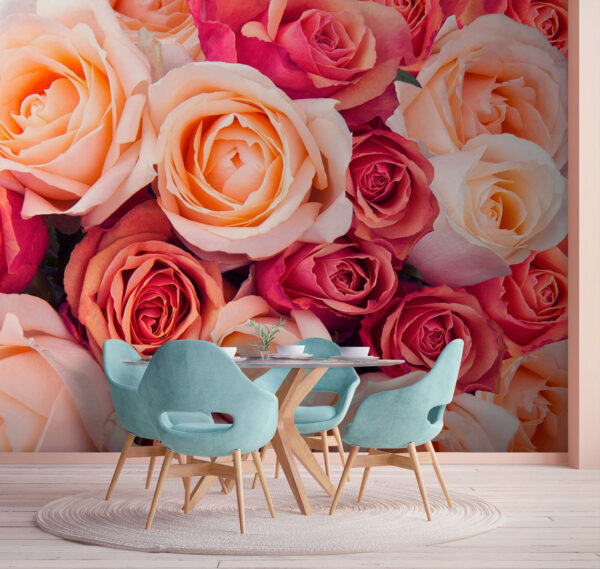 Grupo de rosas cor-de-rosa e brancas Grupo de rosas cor-de-rosa e brancas