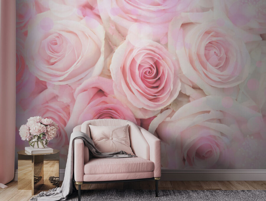 Grupo de rosas cor-de-rosa