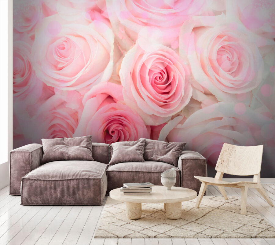 Grupo de rosas cor-de-rosa