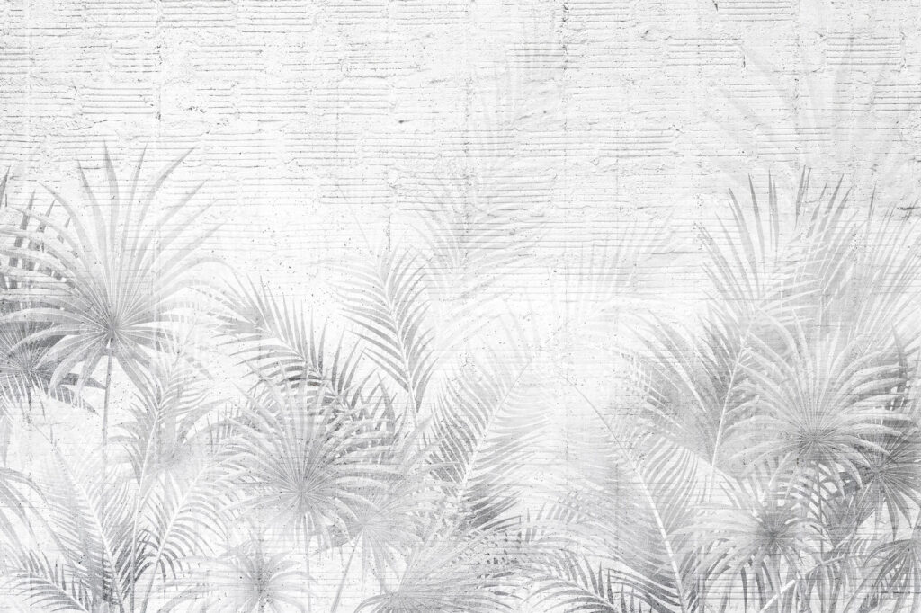 Fundo branco e cinzento com folhas de palmeira Fundo branco e cinzento com folhas de palmeira