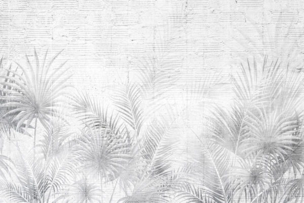 Fundo branco e cinzento com folhas de palmeira Fundo branco e cinzento com folhas de palmeira