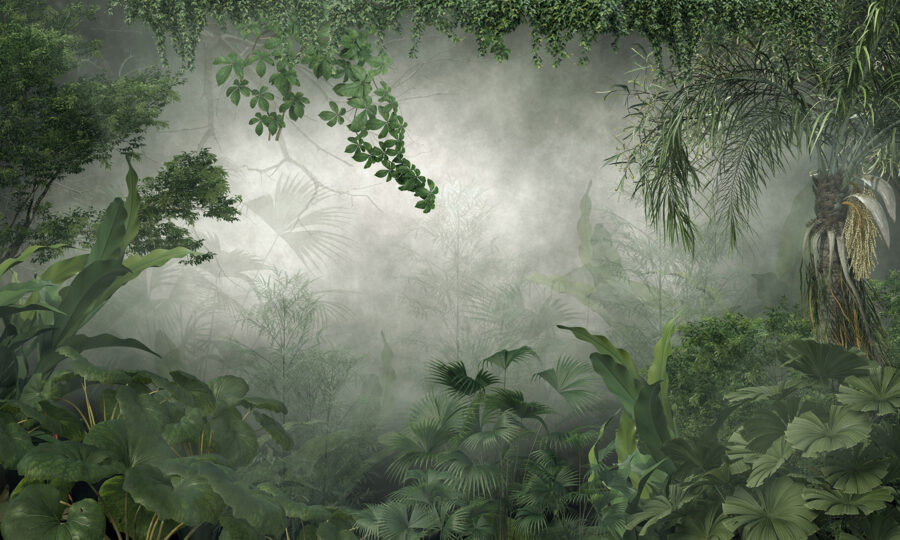 Floresta enevoada com plantas e árvores